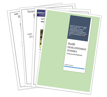 exemple compte rendu_|_audit développement durable